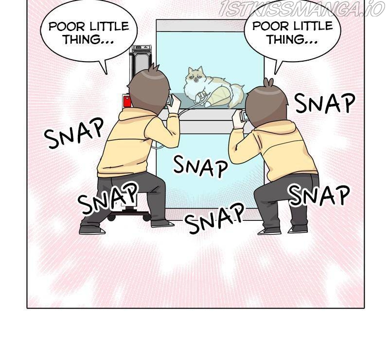 The Dog Diaries Chapter 46 - page 55