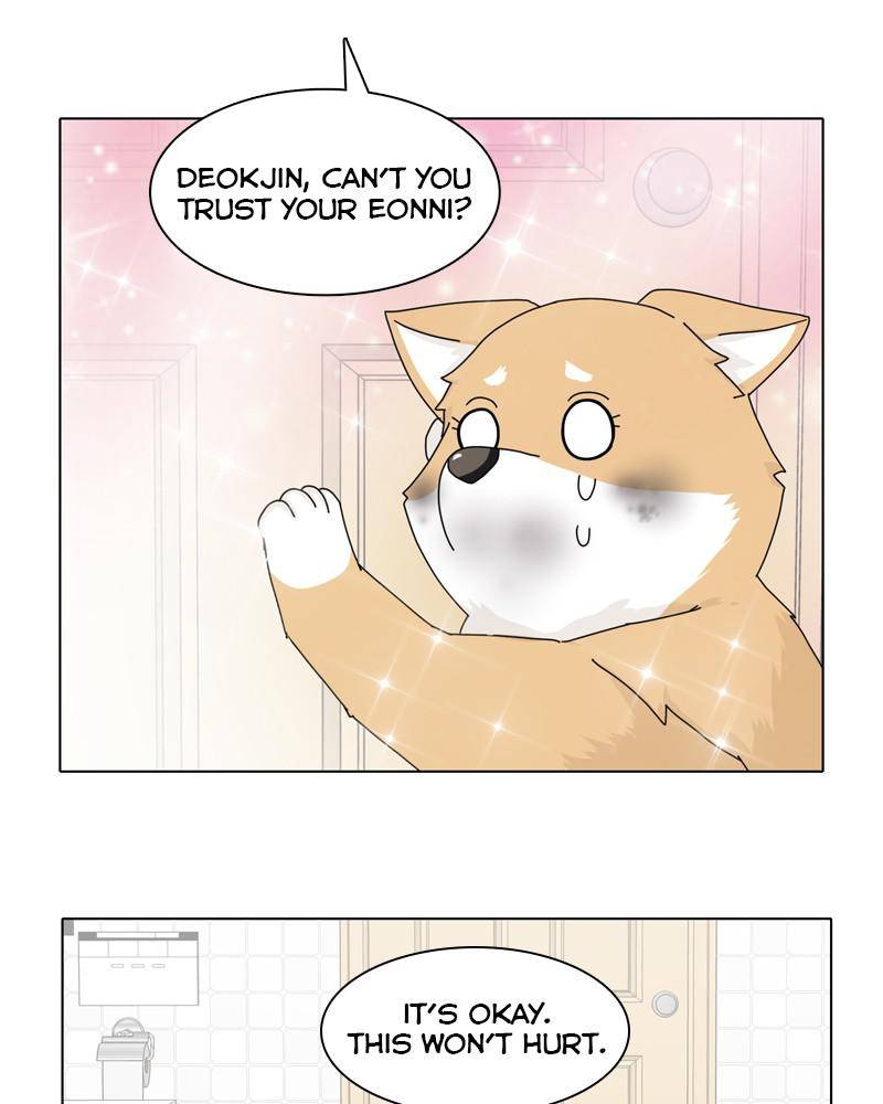 The Dog Diaries Chapter 45 - page 39