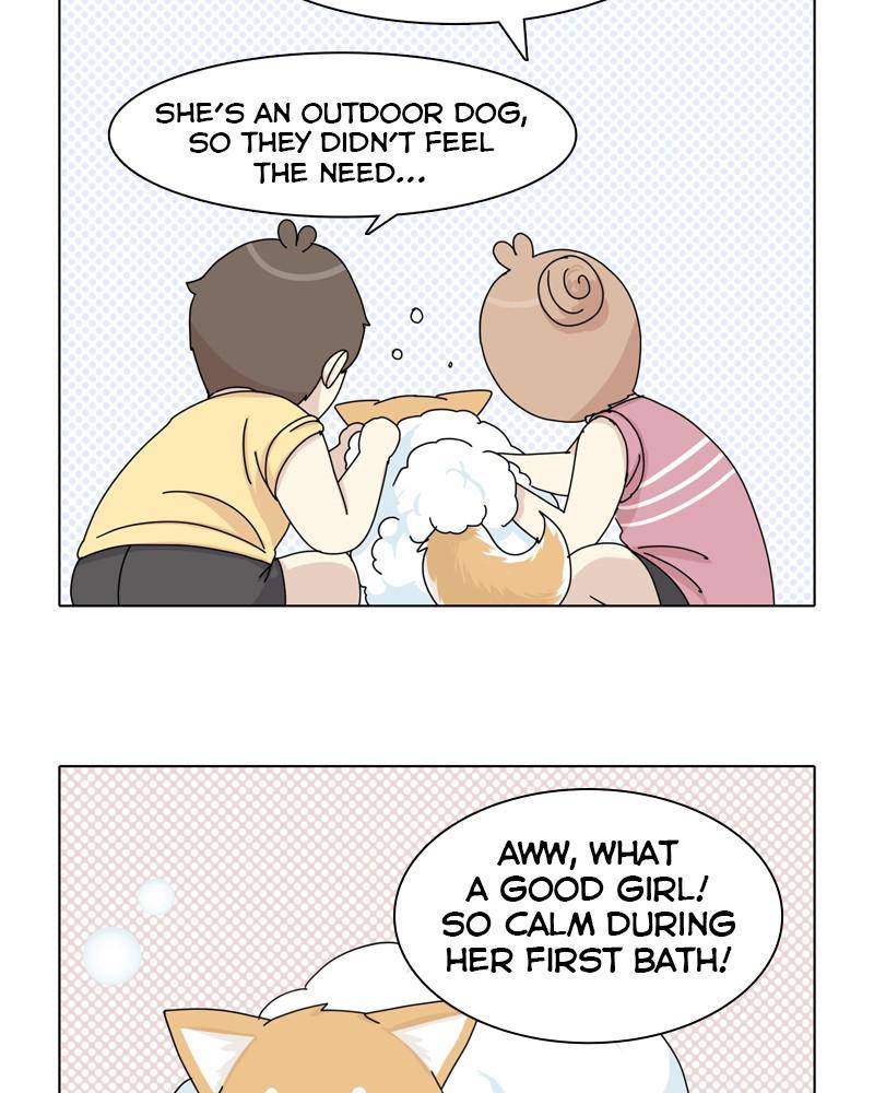 The Dog Diaries Chapter 45 - page 42