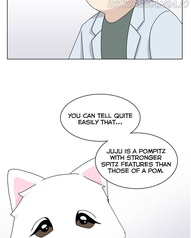 The Dog Diaries Chapter 42 - page 61