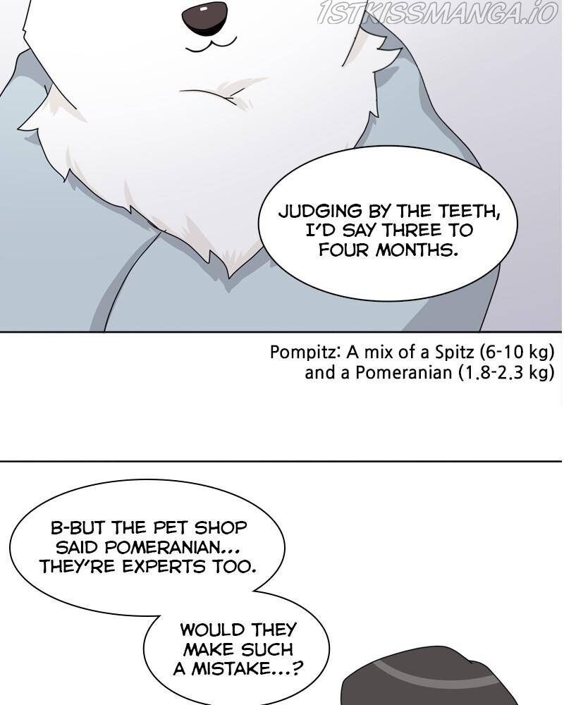The Dog Diaries Chapter 42 - page 62