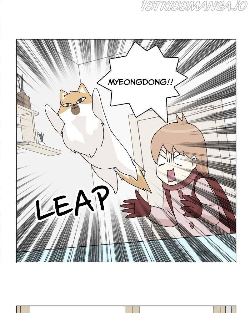 The Dog Diaries Chapter 40 - page 15