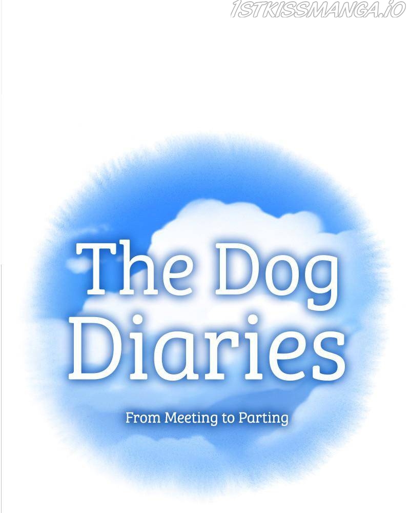 The Dog Diaries Chapter 40 - page 19
