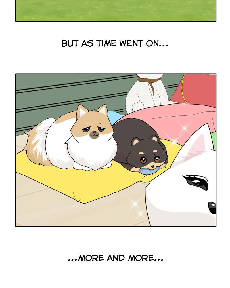 The Dog Diaries Chapter 39 - page 50