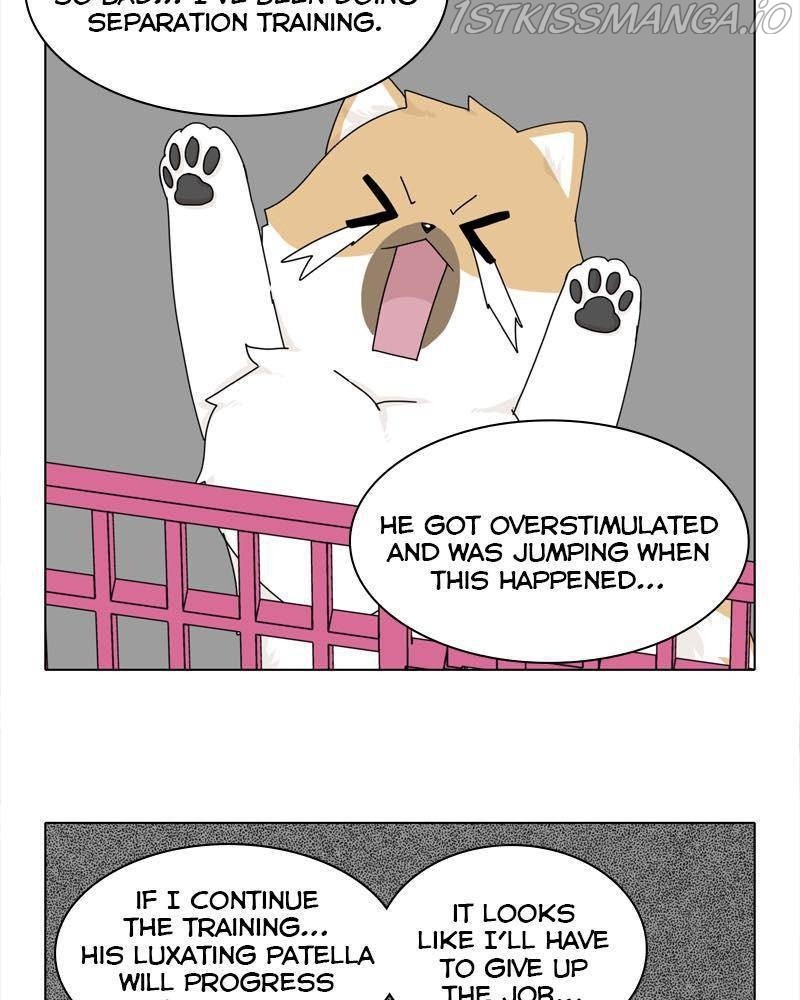 The Dog Diaries Chapter 38 - page 31