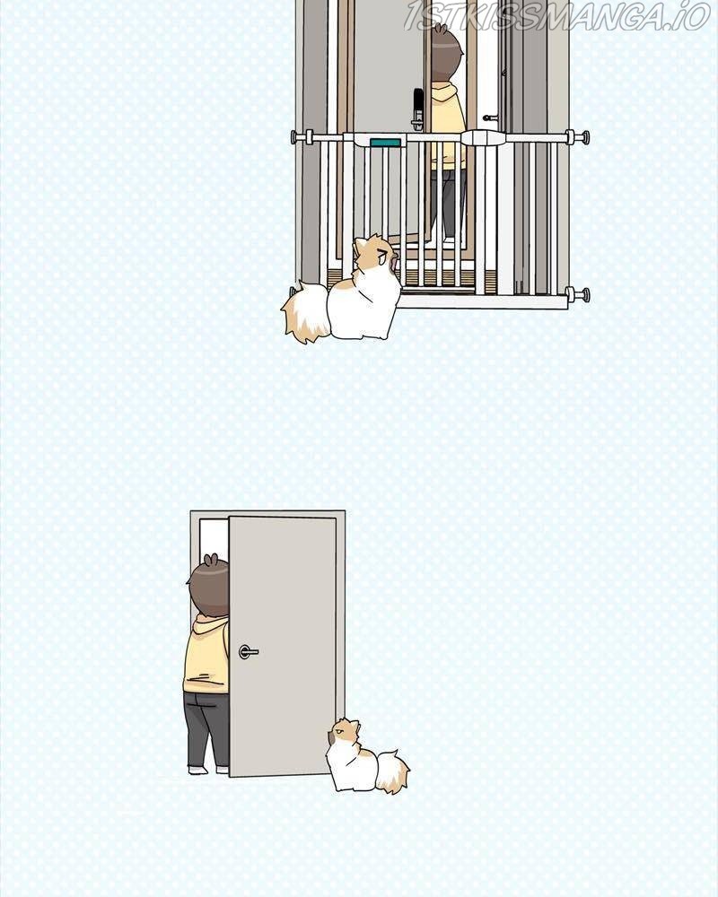The Dog Diaries Chapter 38 - page 57