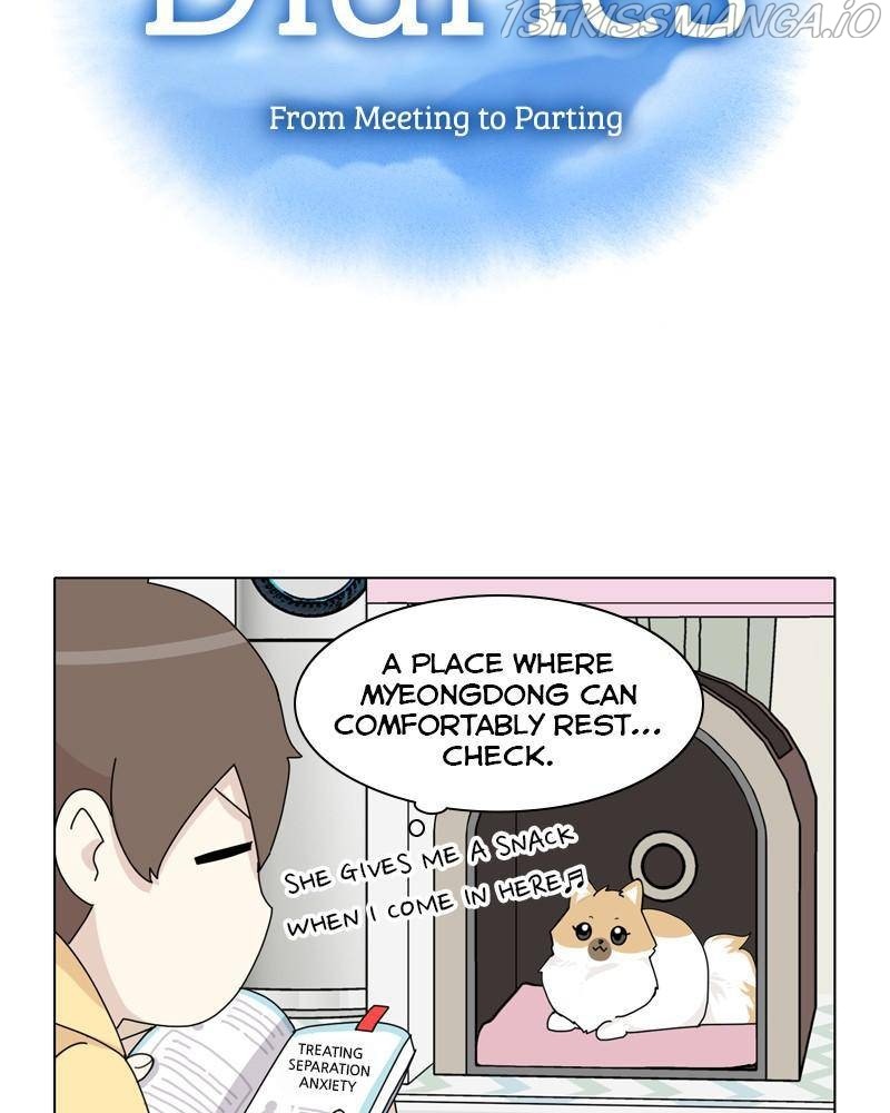 The Dog Diaries Chapter 38 - page 7