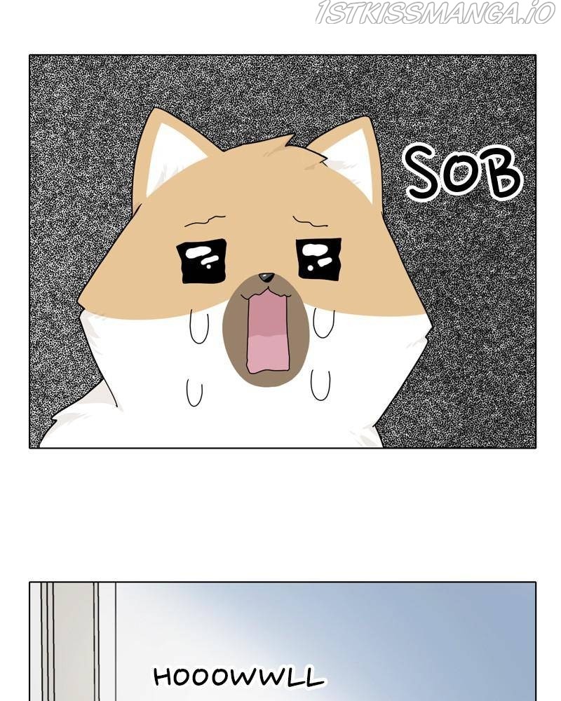 The Dog Diaries Chapter 37 - page 11