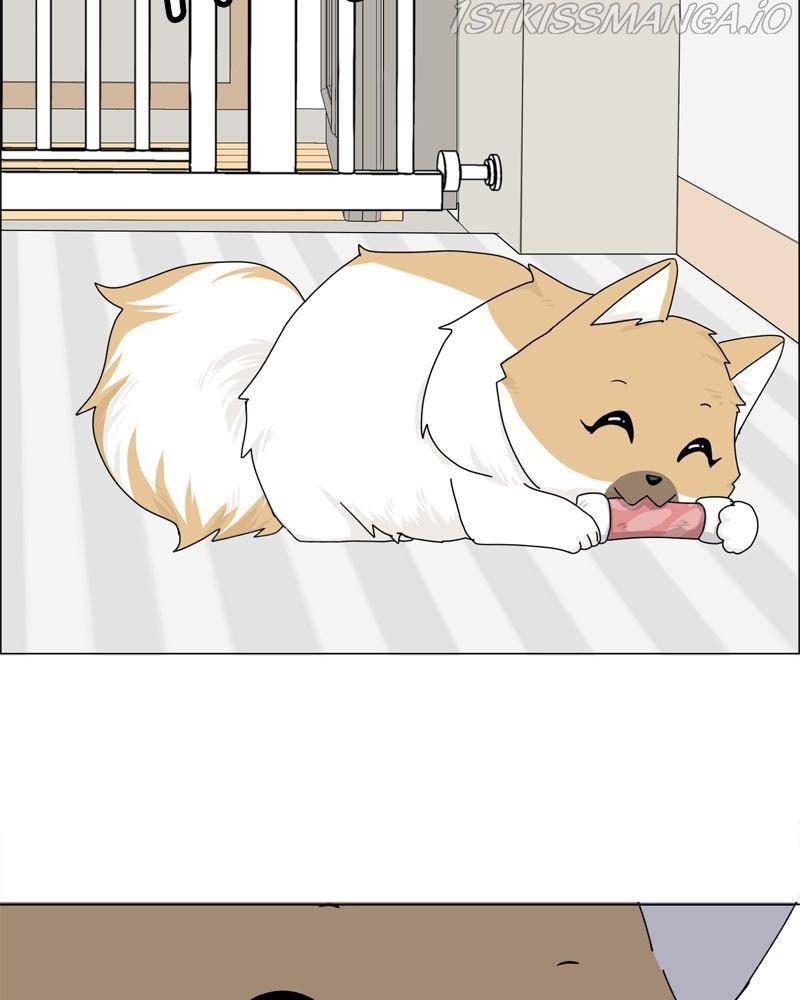 The Dog Diaries Chapter 37 - page 47