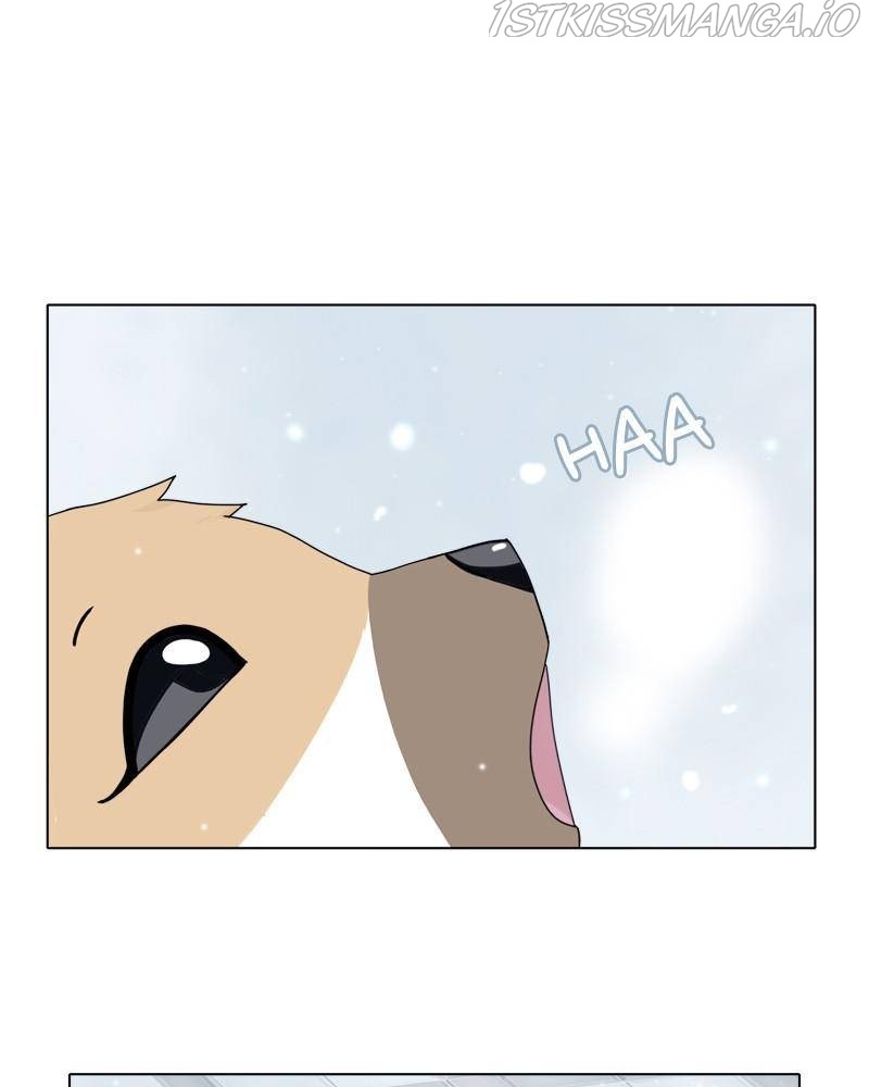 The Dog Diaries Chapter 36 - page 1