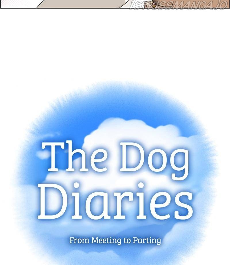 The Dog Diaries Chapter 32 - page 11