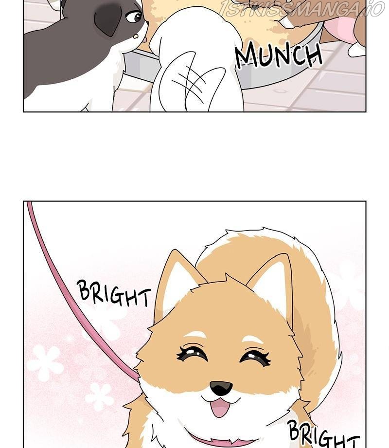 The Dog Diaries Chapter 32 - page 28