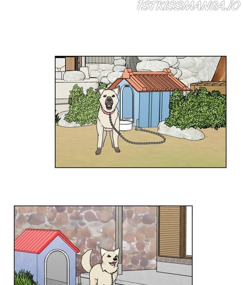 The Dog Diaries Chapter 32 - page 39