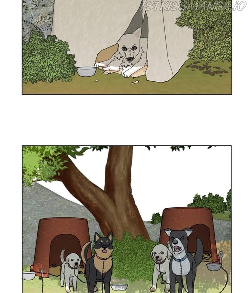 The Dog Diaries Chapter 32 - page 41