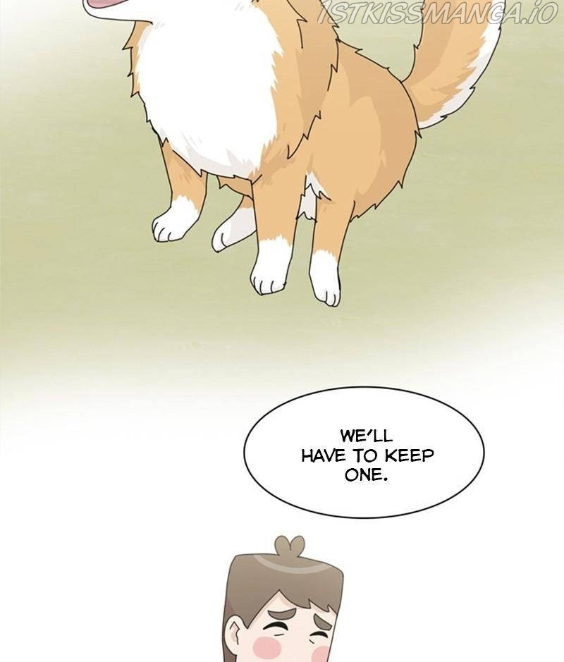 The Dog Diaries Chapter 32 - page 49