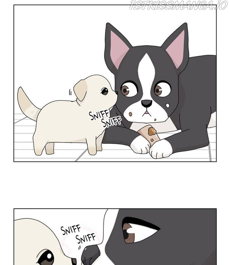 The Dog Diaries Chapter 32 - page 5