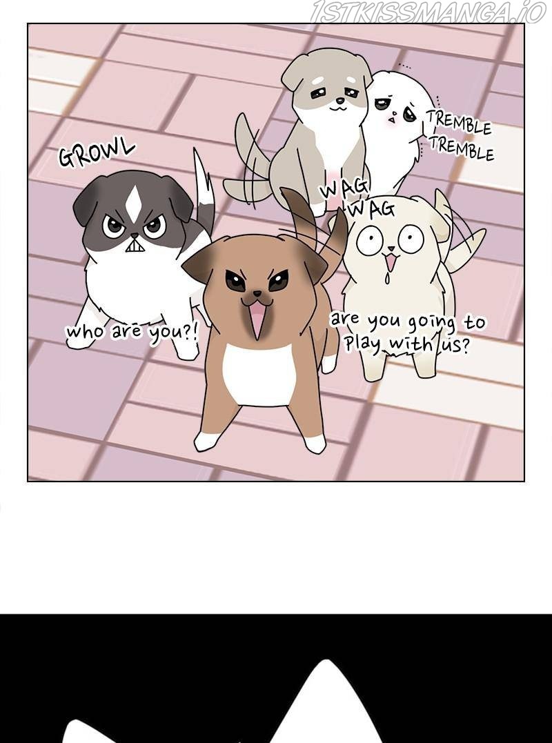 The Dog Diaries Chapter 32 - page 63