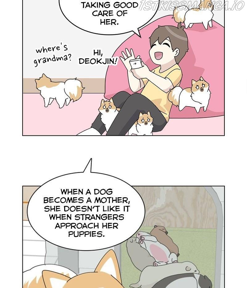 The Dog Diaries Chapter 31 - page 34
