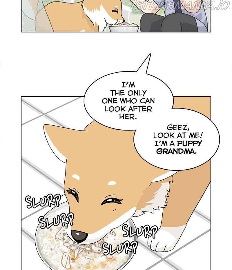 The Dog Diaries Chapter 31 - page 36
