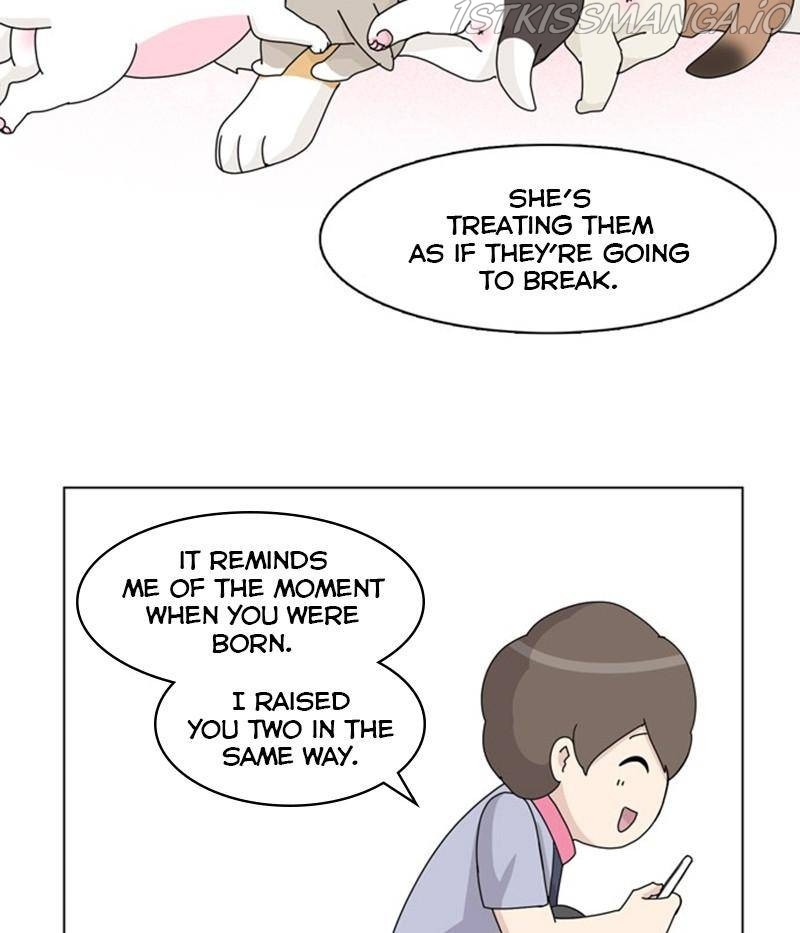 The Dog Diaries Chapter 31 - page 41