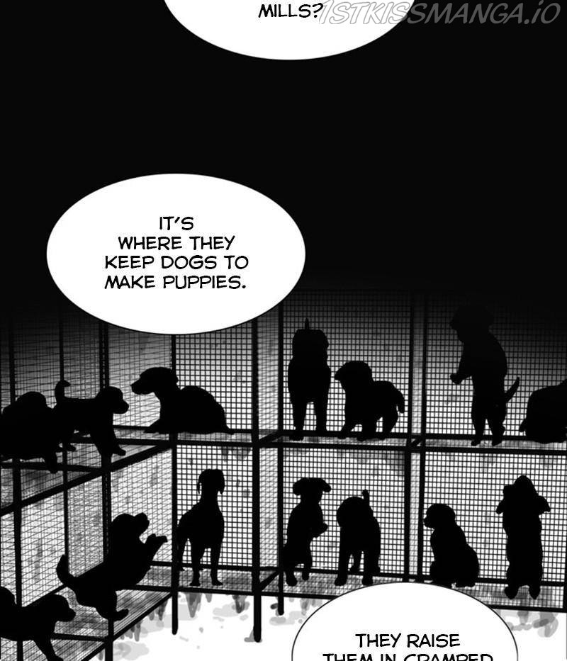 The Dog Diaries Chapter 31 - page 47