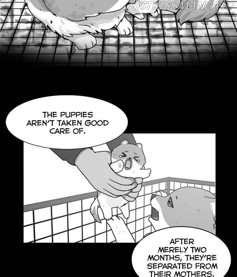The Dog Diaries Chapter 31 - page 49