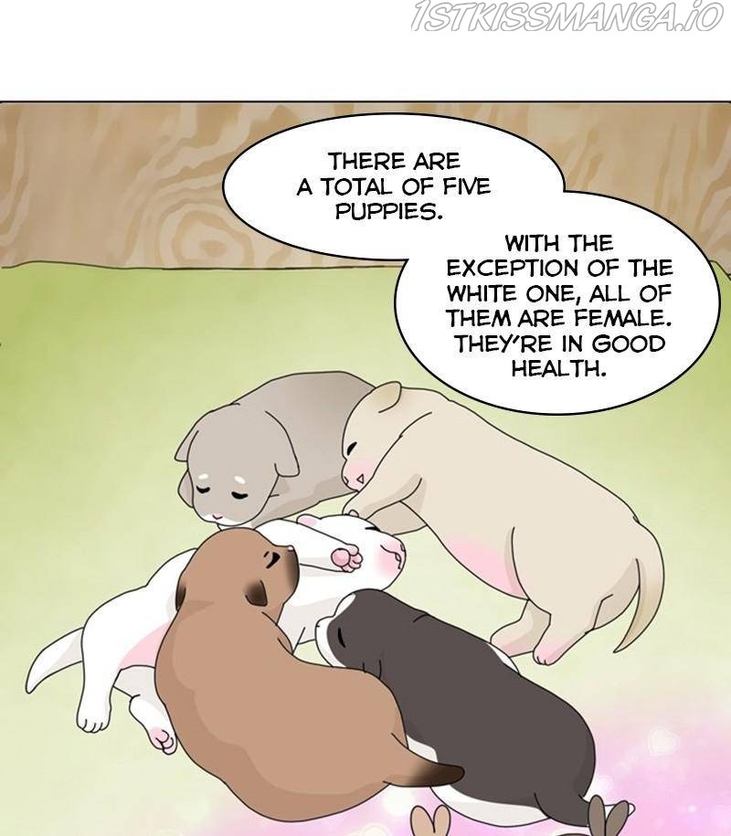 The Dog Diaries Chapter 31 - page 6