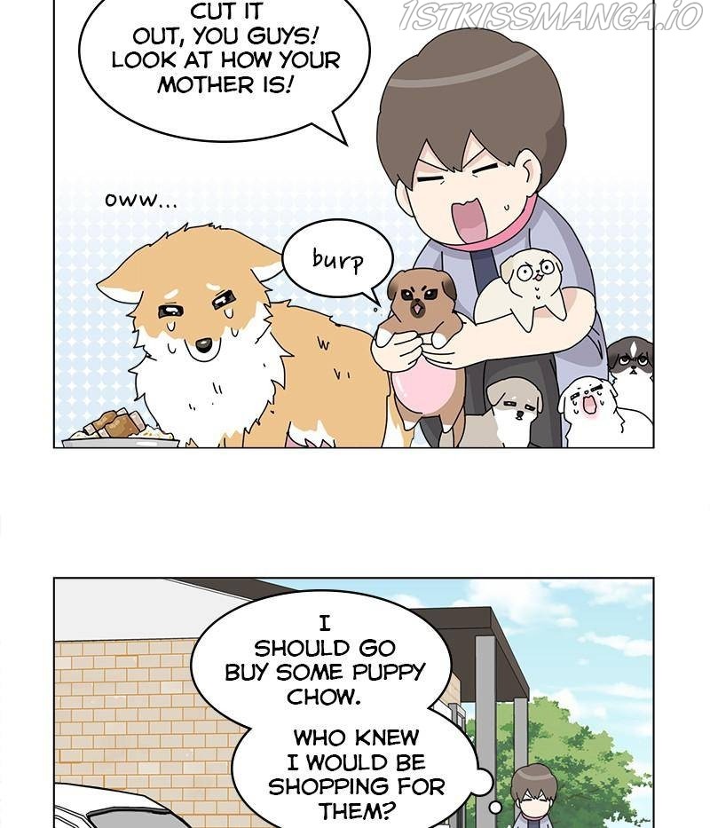 The Dog Diaries Chapter 31 - page 63