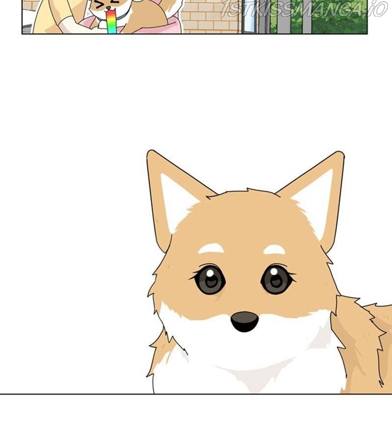 The Dog Diaries Chapter 31 - page 70
