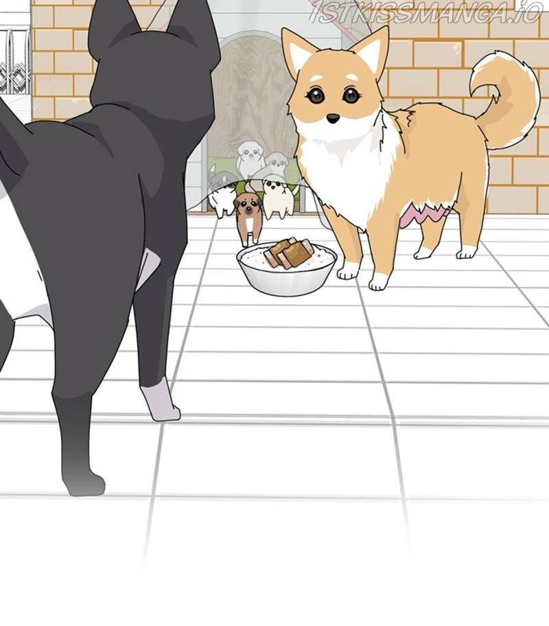 The Dog Diaries Chapter 31 - page 72