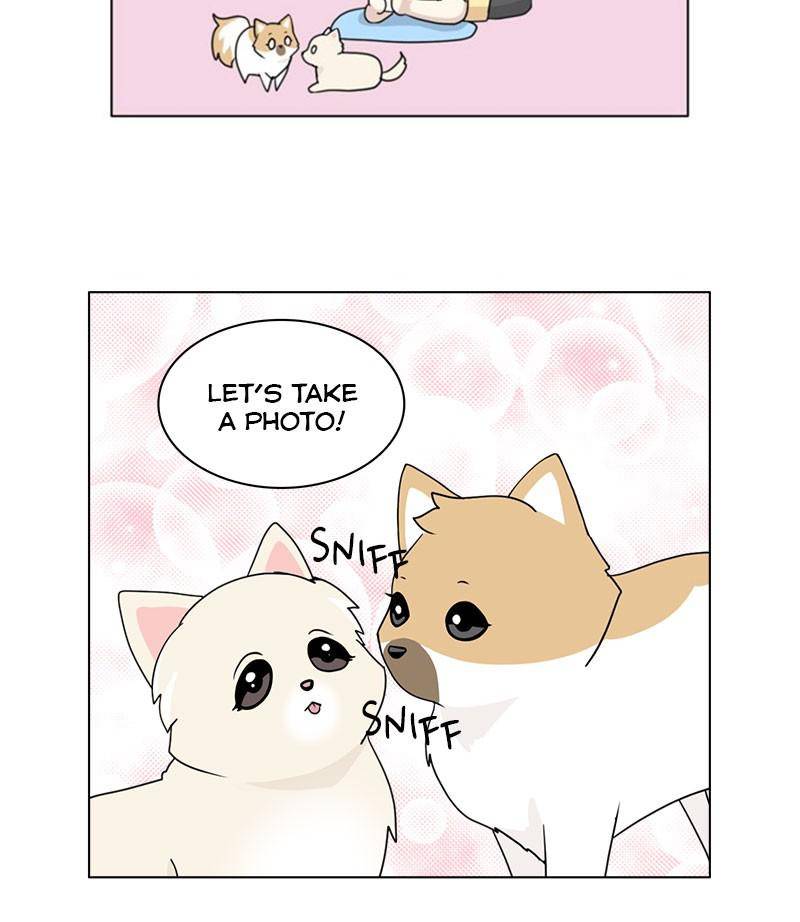 The Dog Diaries Chapter 29 - page 14