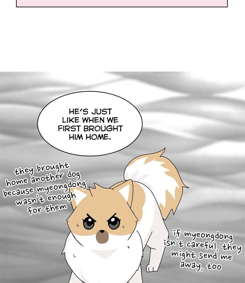 The Dog Diaries Chapter 29 - page 61