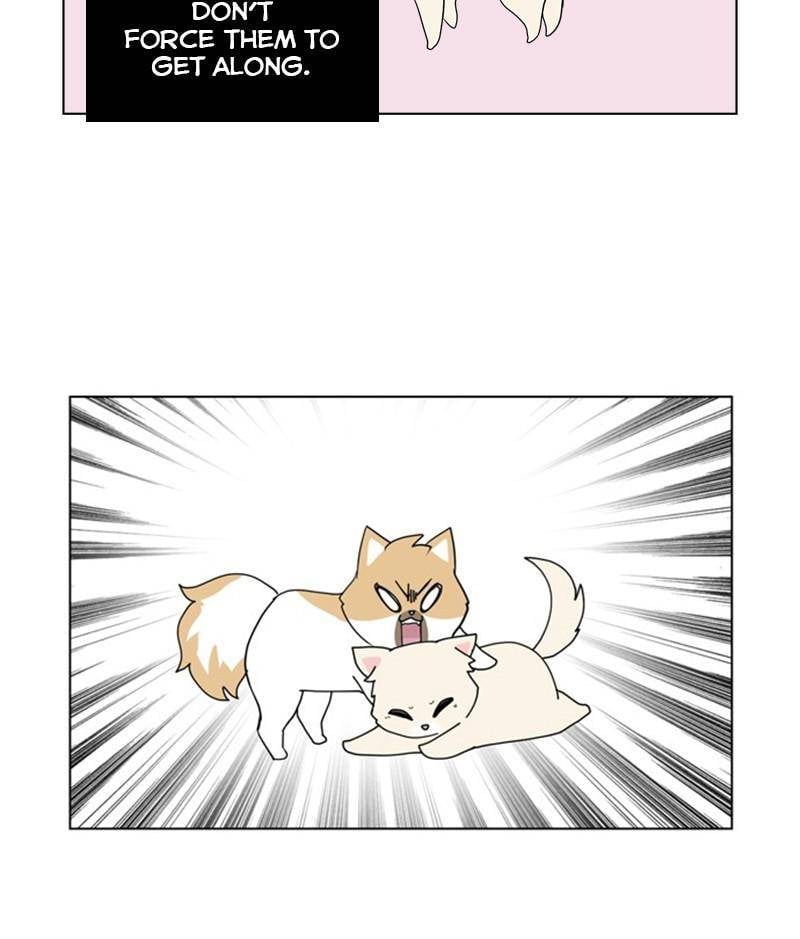 The Dog Diaries Chapter 28 - page 51