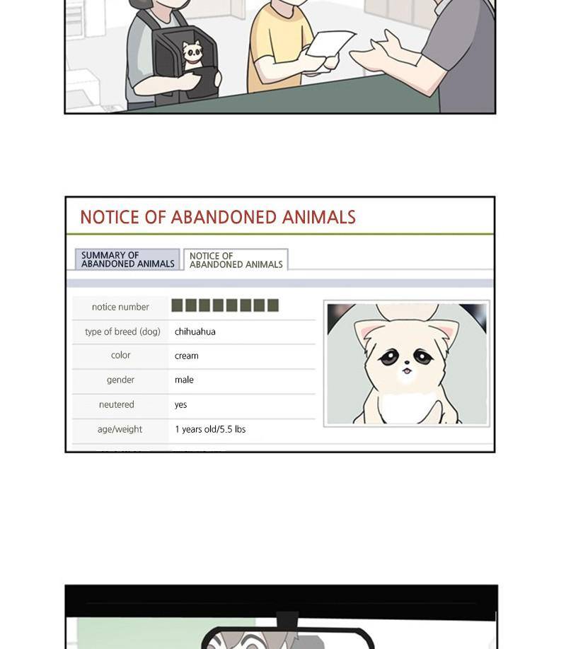 The Dog Diaries Chapter 27 - page 11