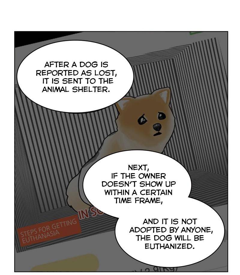 The Dog Diaries Chapter 27 - page 15