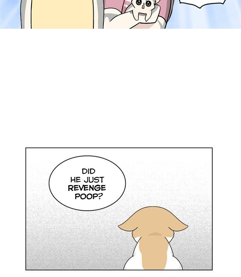The Dog Diaries Chapter 27 - page 38