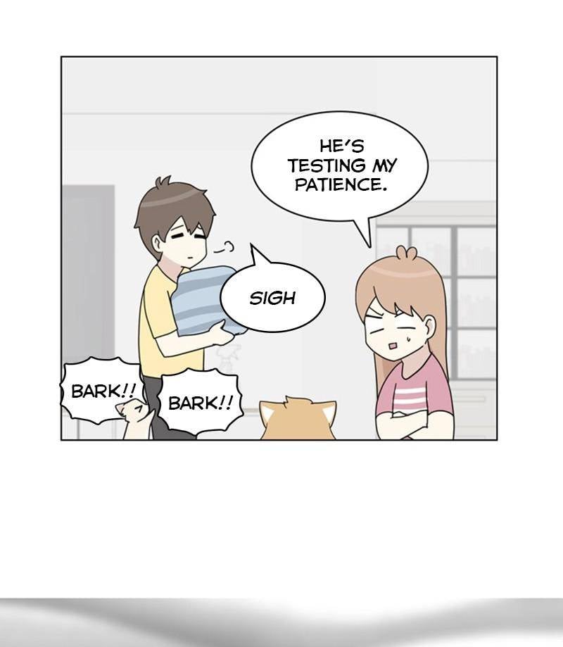 The Dog Diaries Chapter 27 - page 39