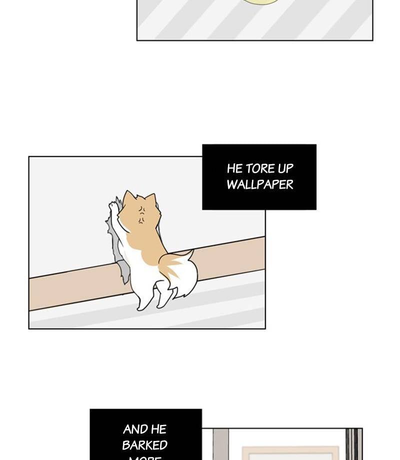 The Dog Diaries Chapter 27 - page 43