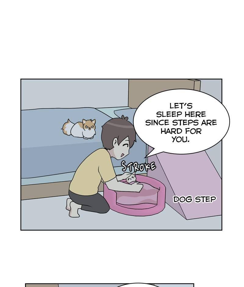 The Dog Diaries Chapter 26 - page 54