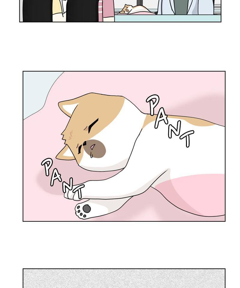 The Dog Diaries Chapter 24 - page 25