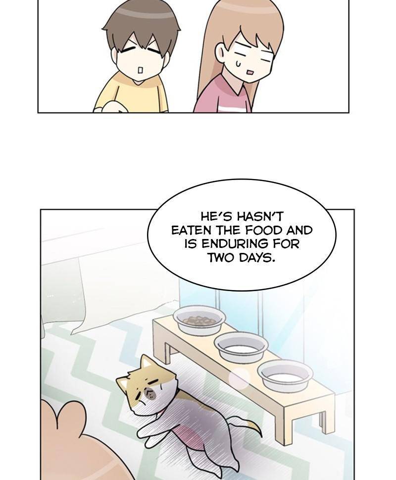 The Dog Diaries Chapter 24 - page 42
