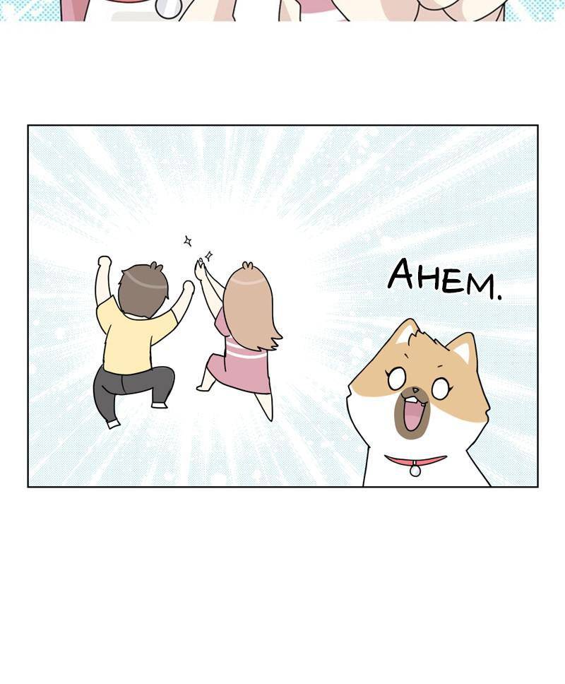 The Dog Diaries Chapter 24 - page 54