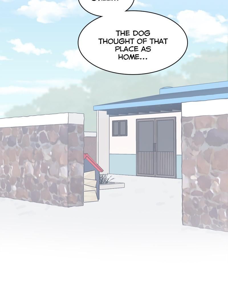 The Dog Diaries Chapter 19 - page 11