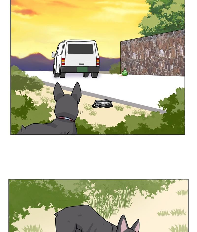 The Dog Diaries Chapter 19 - page 43