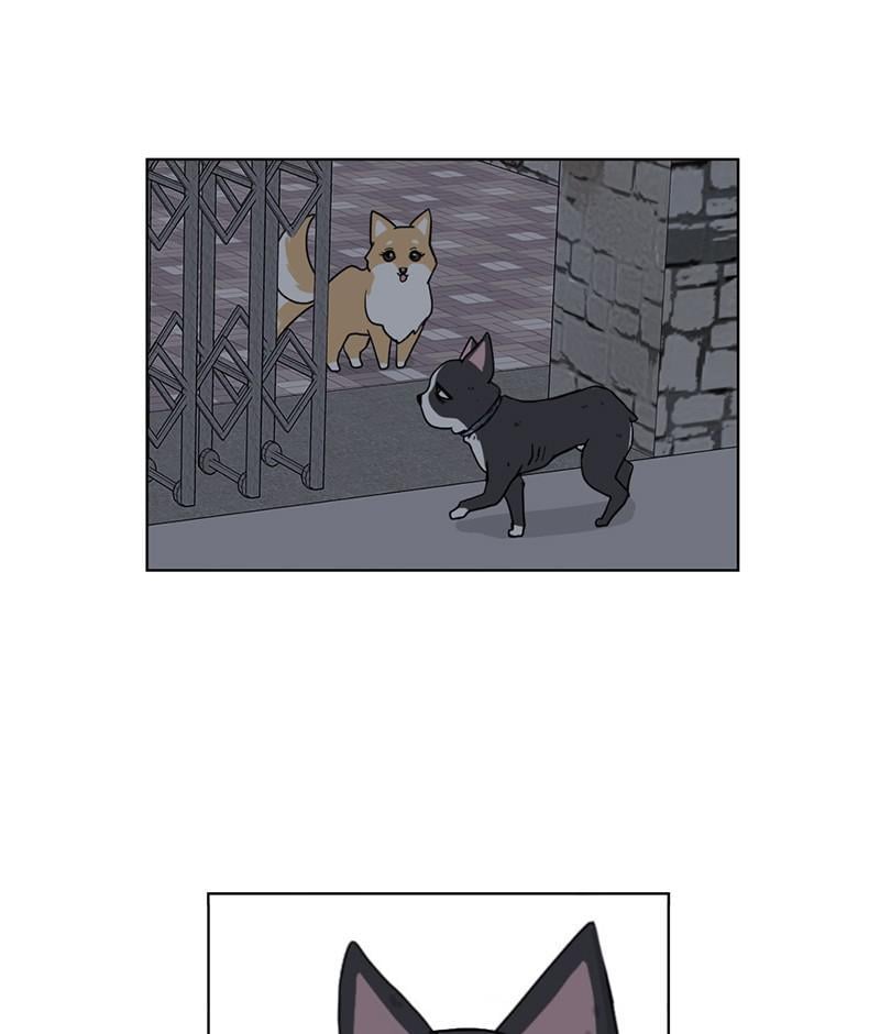 The Dog Diaries Chapter 19 - page 49