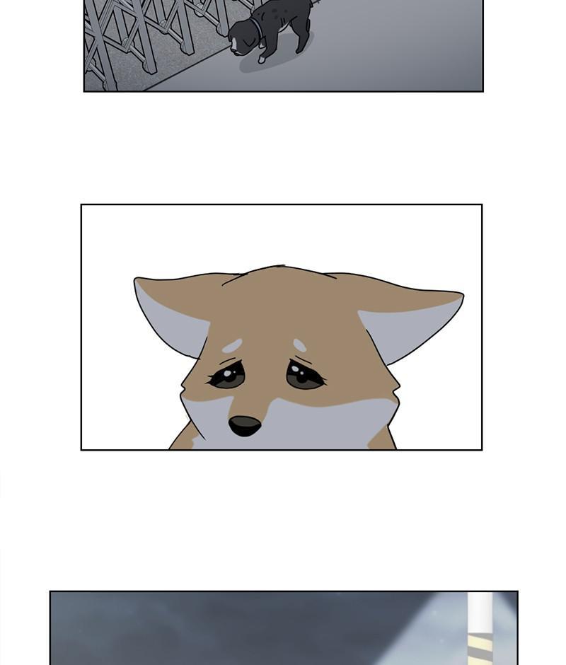 The Dog Diaries Chapter 19 - page 53