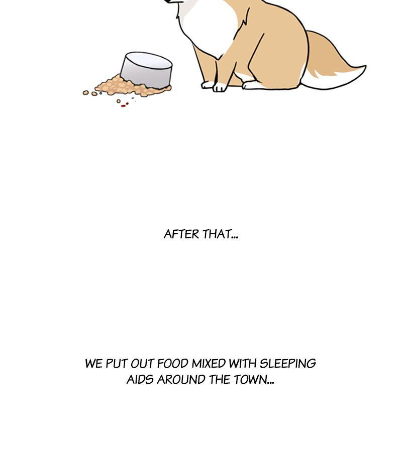 The Dog Diaries Chapter 18 - page 38