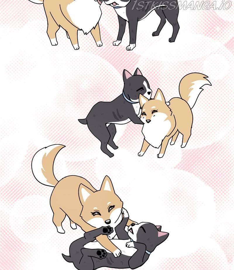 The Dog Diaries Chapter 17 - page 23