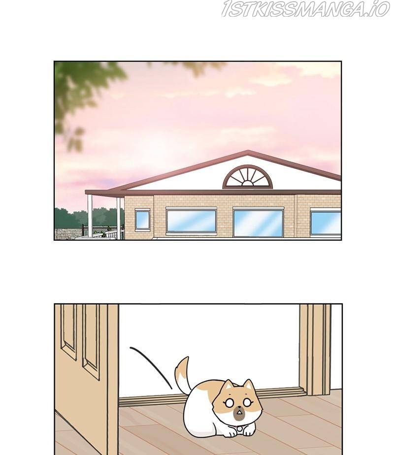 The Dog Diaries Chapter 17 - page 26