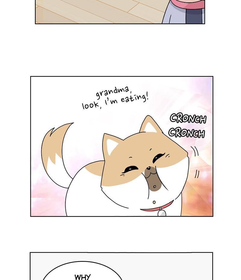 The Dog Diaries Chapter 16 - page 10